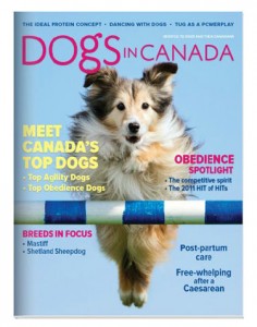 Sandy Robins - Articles in Dogs In Canada