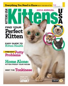 Sandy Robins - Articles in Kittens USA