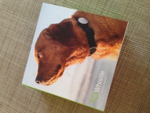 Whistle Activity Monitor product review Reigning Cats andDogs blog Sandy Robins Pet Lifestyle Expert