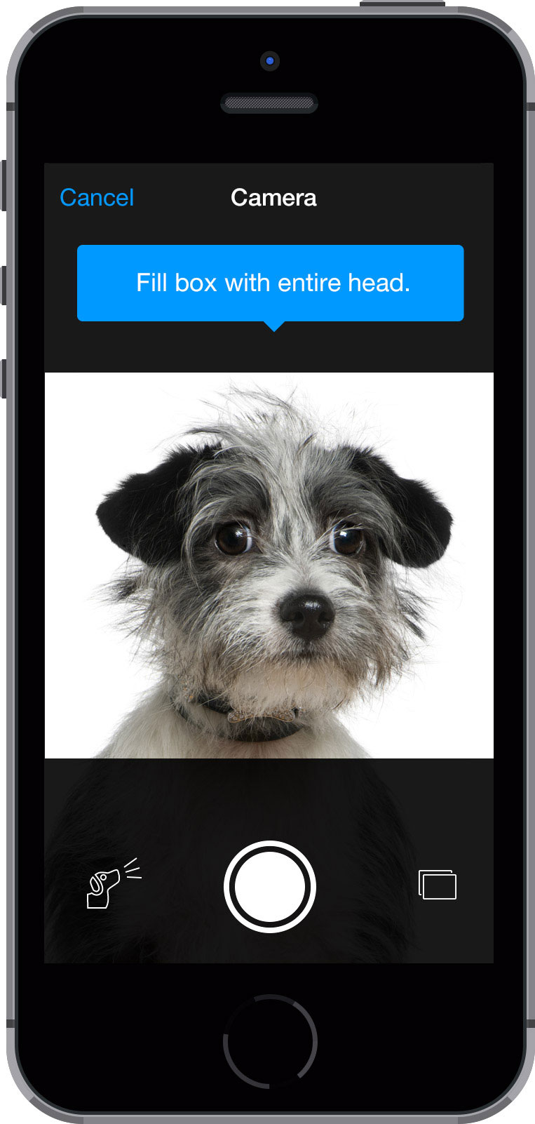 facial recognition app to find lost pets