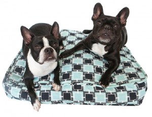 Designer-dog-beds