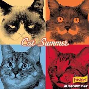 There cats of summer