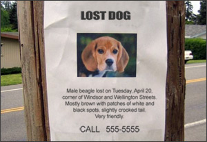 Courtesy: Missing Pet Partners