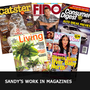 Sandy Robins work in Magazines