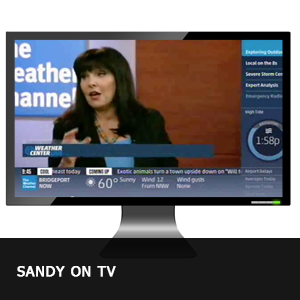 Sandy Robins on TV