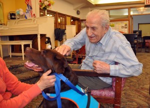 Good Dog Ronnie visits with Seniors