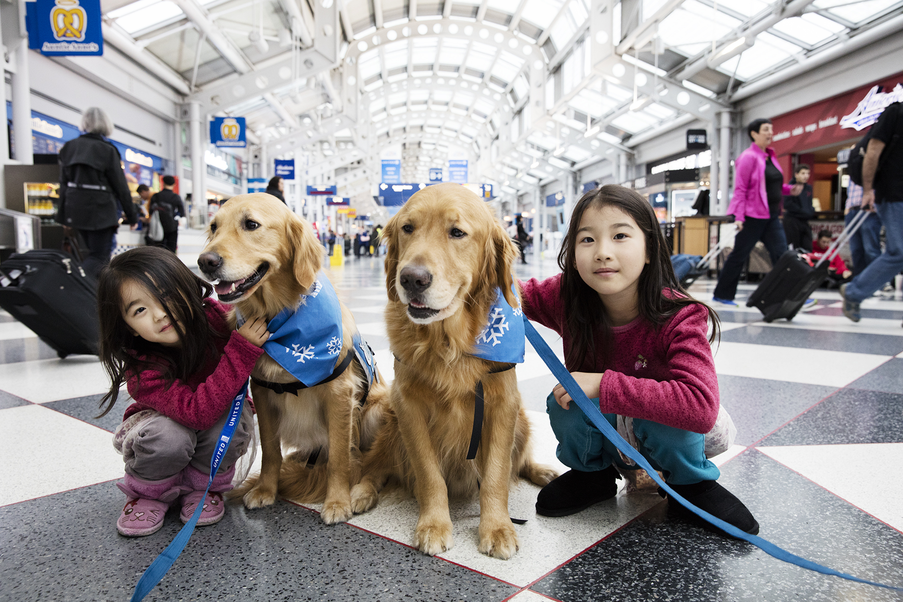Pet Therapy in the form of dogs to pat to relieve travel stress as part of the United Paws program
