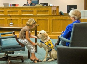 dogs help ease anxiety in a courtroom situation