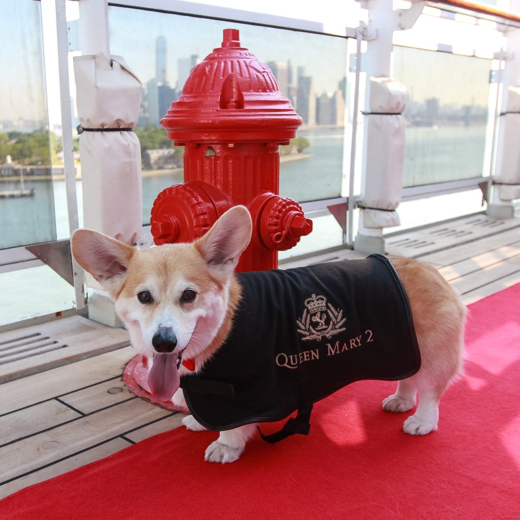 Pets Are Welcome on board Cunard's Queen Mary 2 luxury liner