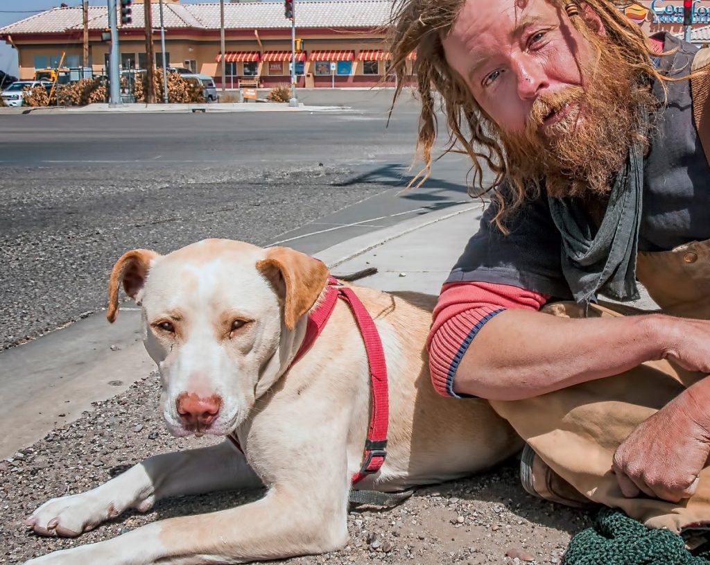 pets of the homeless and how you can help feed them 